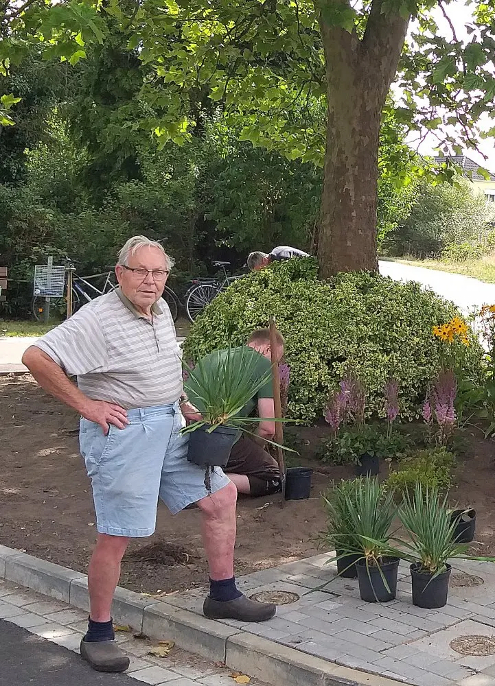 Mann beim Einpflanzen an einem Straßenrand