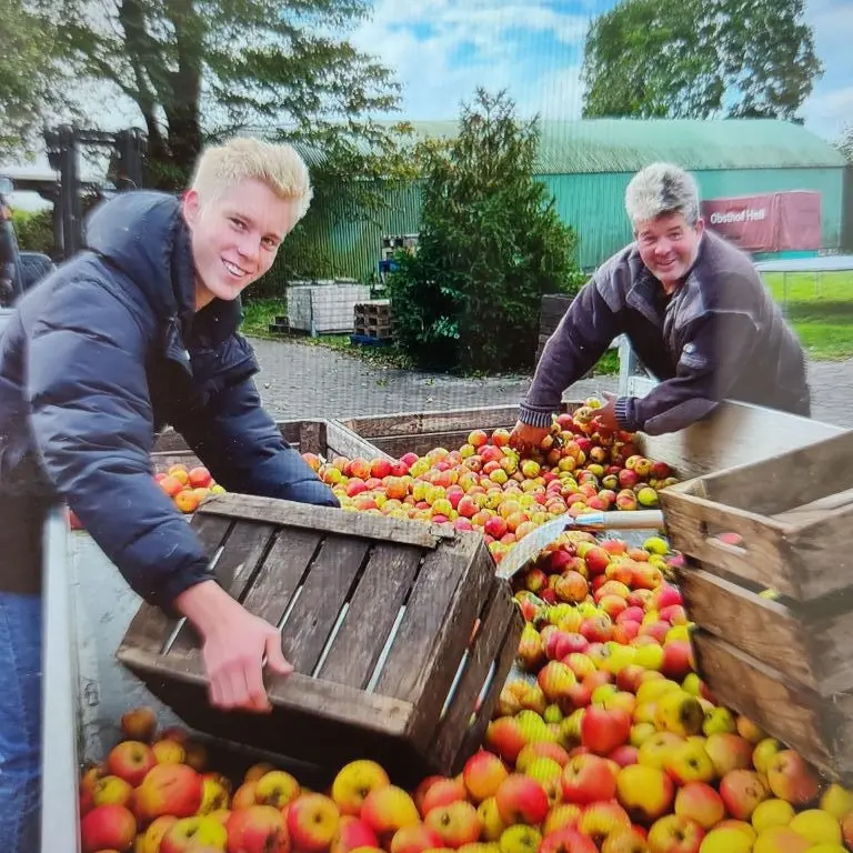 Zwei Helfer laden Äpfel von einem Anhänger in Kisten
