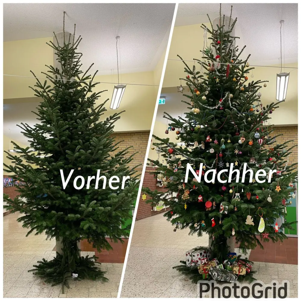 Vorher-nachher-Vergleich: Tannenbaum in der Aula ohne und mit Schmuck