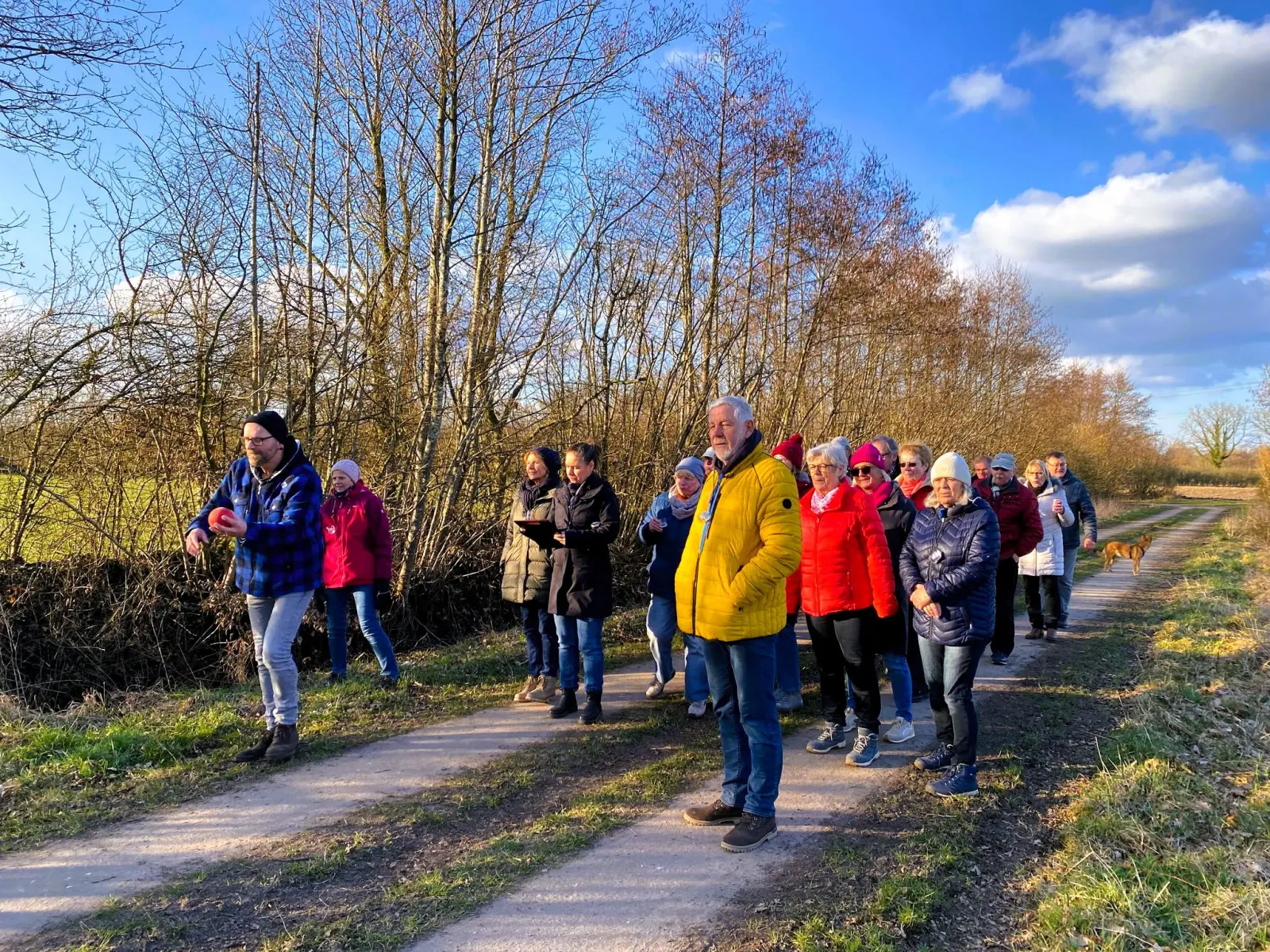 Wandergruppe auf einem Feldweg bei Sonnenschein